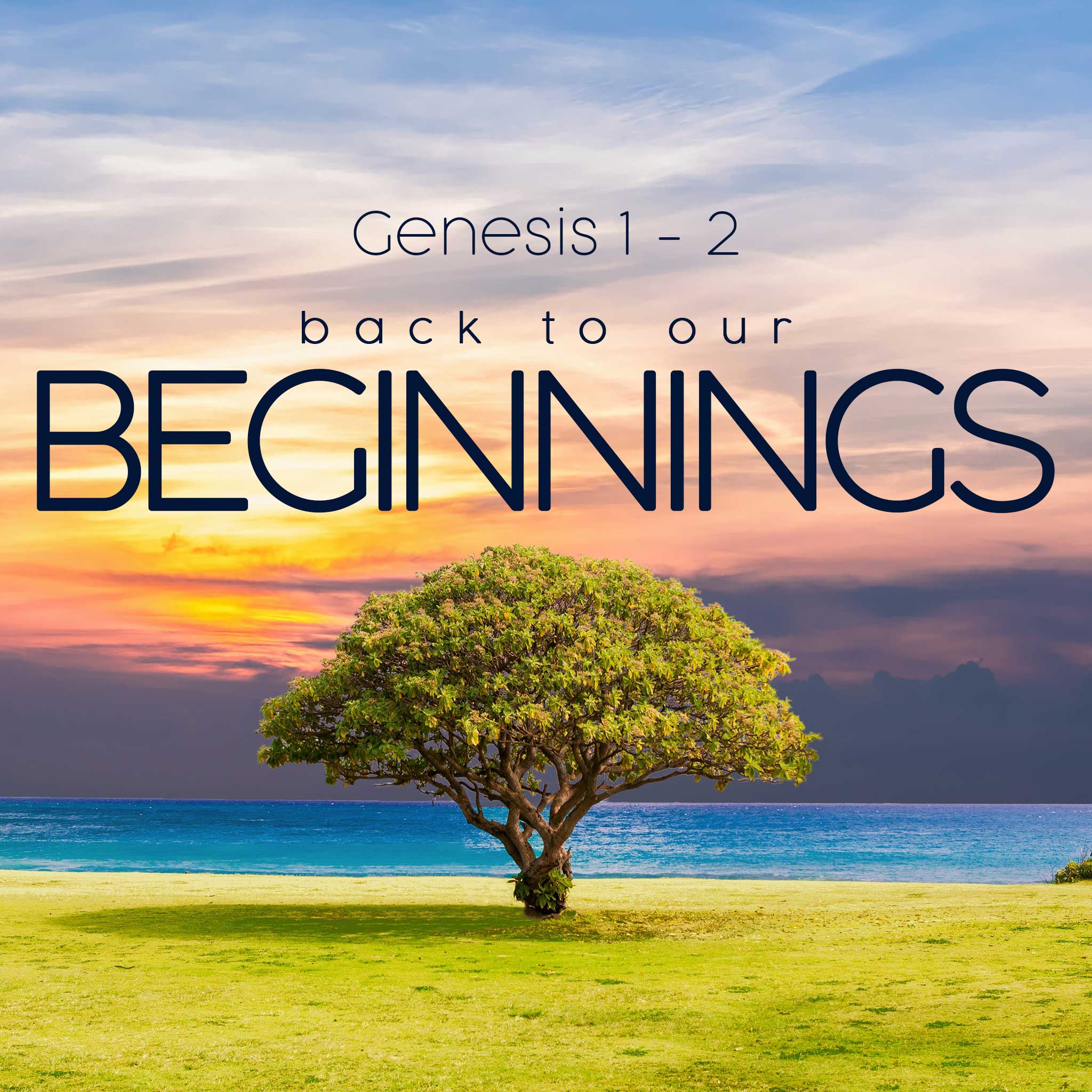 back-to-our-beginnings-genesis-1-2-trinity-church-victor-harbor